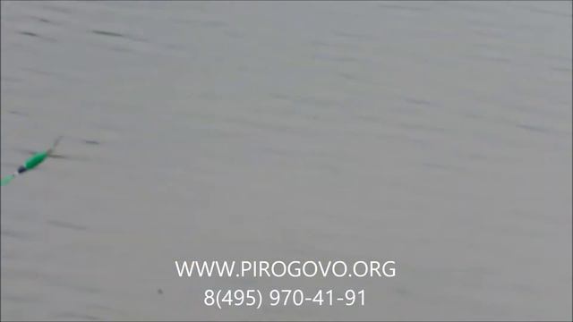 Платная рыбалка смотреть онлайн