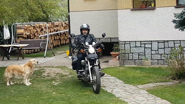 Yamaha virago 1100 cz смотреть онлайн