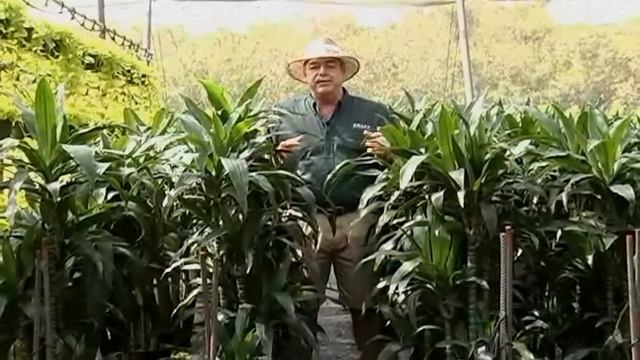 Janet Craig Cane Set 5-8-13 смотреть онлайн