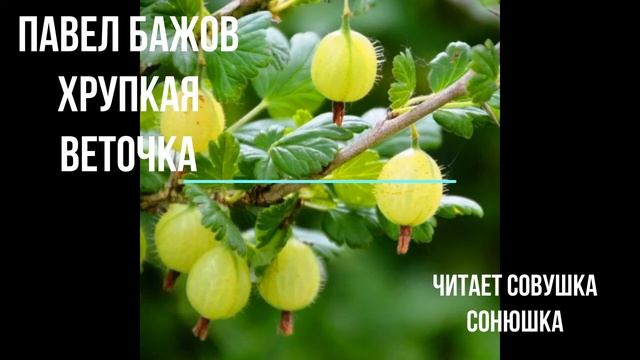 Павел Бажов "Хрупкая веточка" смотреть онлайн