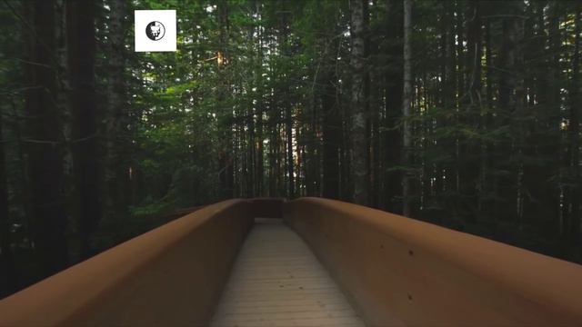 NATURE | ПРИРОДА-------------FULL--HD--1080p------------- смотреть онлайн