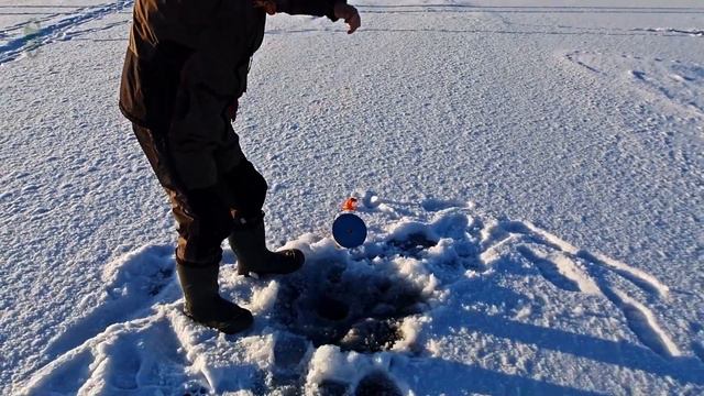 БЕШЕНЫЙ КЛЁВ ЗА БЕШЕНЫЕ ДЕНЬГИ /ЩУКА НА ПУСТОЙ ТРОЙНИК смотреть онлайн
