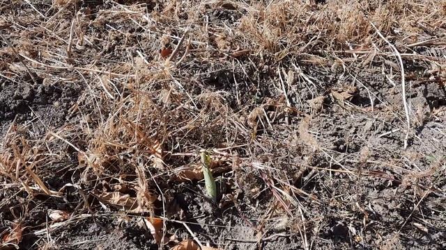 ФУНДУК . ИЗБАВЛЯЮСЬ ОТ НЕ НУЖНОГО смотреть онлайн