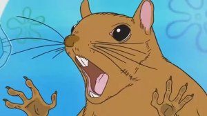 губка боб – Дикие друзья 6