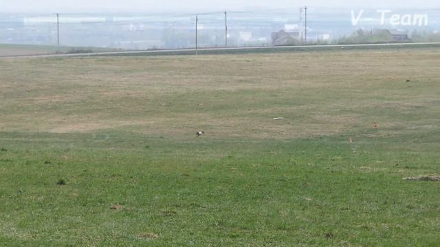 Чирнеко дель Этна. TESORO SOLARE BELLINI (К) - SOLLUCERO (Б). CACIL-ЧР, Суханово - 2019.