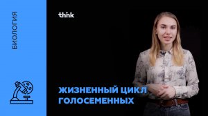Жизненный цикл голосеменных | Биология