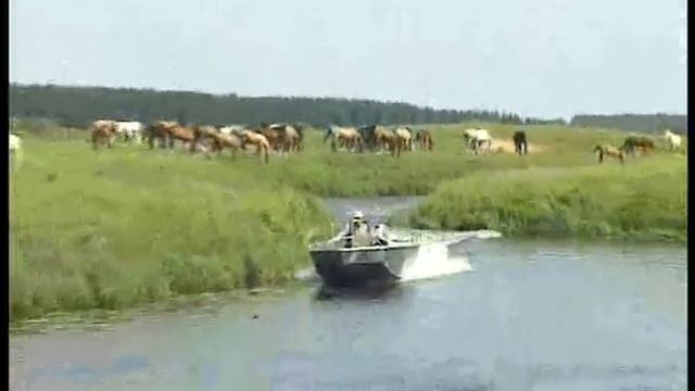 Wellboat 47 джет водомет болотоход