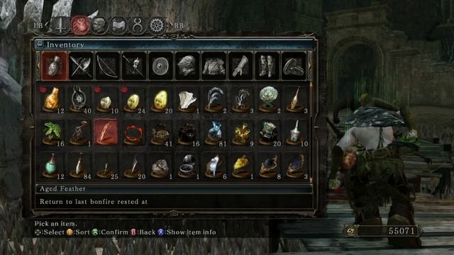 Dark Souls 2 - Tseldora Set (Farming) смотреть онлайн