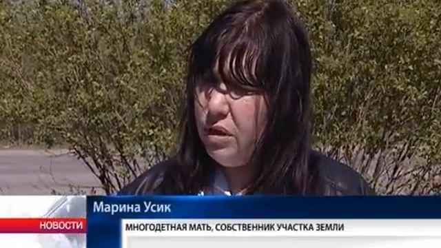 В Вологде многодетная семья получила болото вместо земли