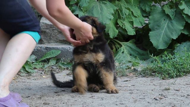 Мальчик длинник. смотреть онлайн