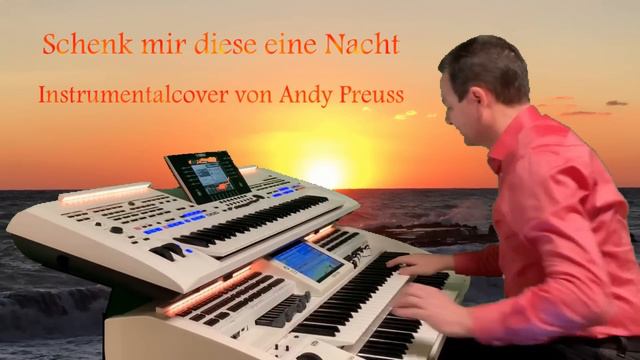 Schenk mir diese eine Nacht ❤️ Andy Preuss an der Wersi Orgel 🎹 Instrumental Cover смотреть онлайн