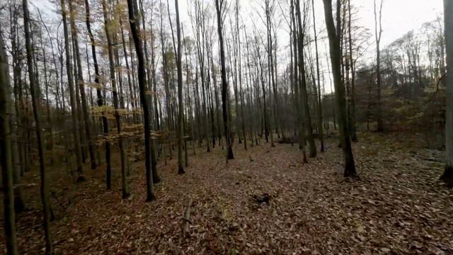 DJI Avata Igor,Zdeneěk,Jirka смотреть онлайн