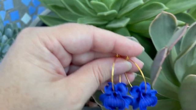 IMG 1176 смотреть онлайн