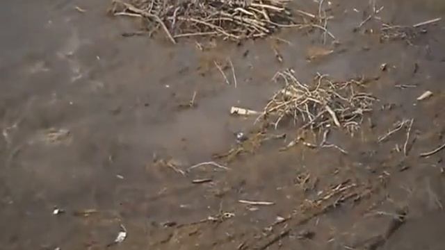 потоп в Муслюмове смотреть онлайн