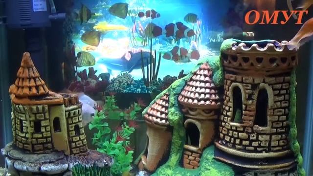 225. СЮЖЕТ ДЛЯ ТЕХ КОМУ В ГЛАЗА ЛЬСТЯТ А В СПИНУ ШИПЯТ. смотреть онлайн