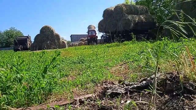 4 июля 2022 г. смотреть онлайн