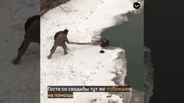 В Лабинске гости свадьбы спасли мужчину, провалившегося под лёд смотреть онлайн
