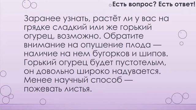Почему огурцы горькие? [53] смотреть онлайн