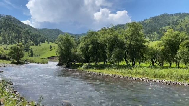 Форелевое Озеро #чемал#алтай