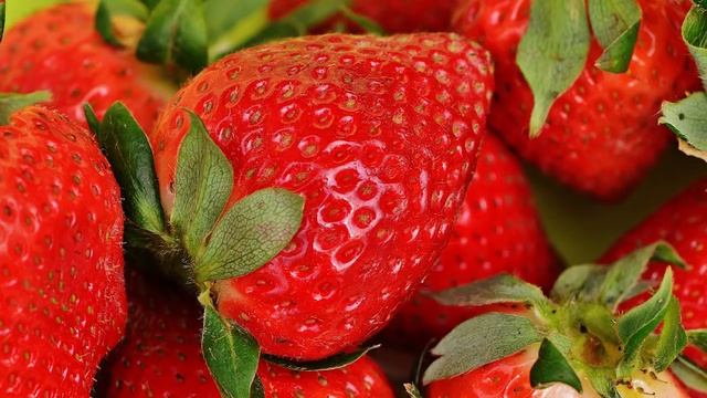 Painting Realistic Fruit смотреть онлайн