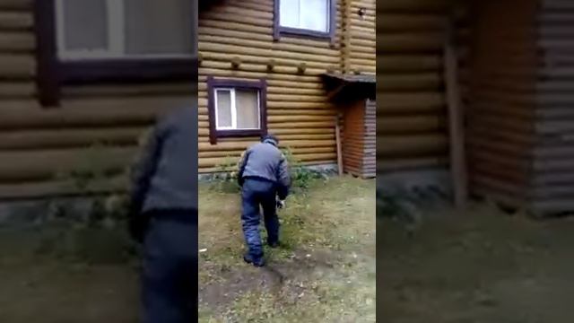 Мухтар, собаки из приюта. Хорошенький