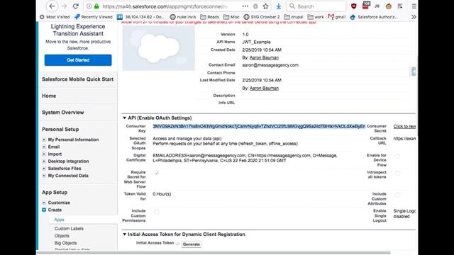 Create a Salesforce OAuth JWT Bearer Token flow connected app смотреть онлайн