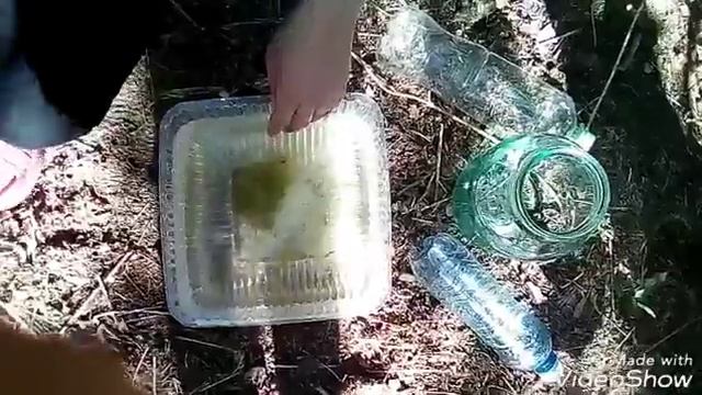 Заселение улиток речных. смотреть онлайн