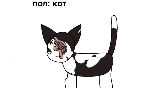 Герои которые появятся в [коты воители в двух словах] смотреть онлайн