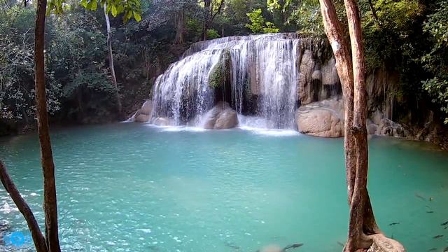 Relaxing music with water sounds • Calm spa vibes • Yoga and relaxation. смотреть онлайн