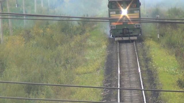 Кедр - поиски кедровой шишки в непроходимой тайге. смотреть онлайн