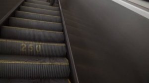 Переход со станции метро "Спортивная" на станцию МЦК "Лужники"