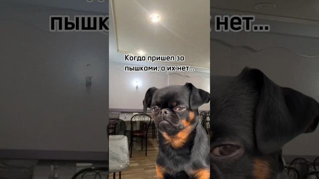 Это удар в самое сердце (и желудок) смотреть онлайн
