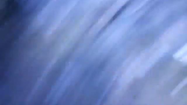 проклятый дом и труп кота