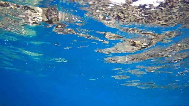 Snorkeling In Islands Dive Site In Dahab, Egypt