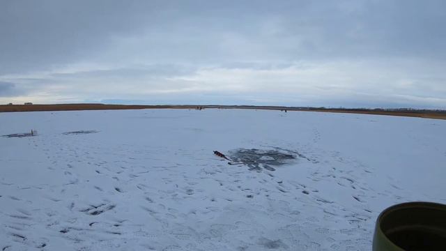 Ловля щуки ! Первый лёд 2021 смотреть онлайн