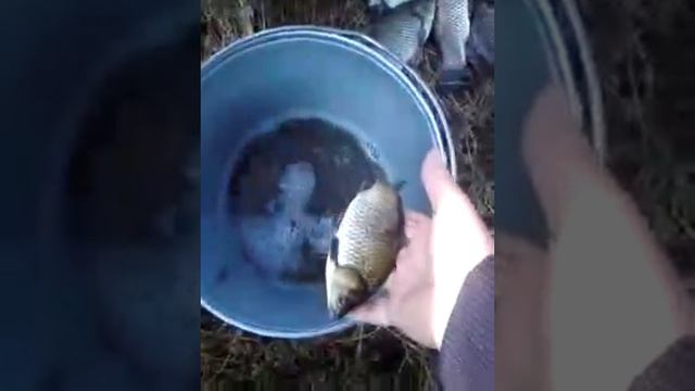 улов смотреть онлайн