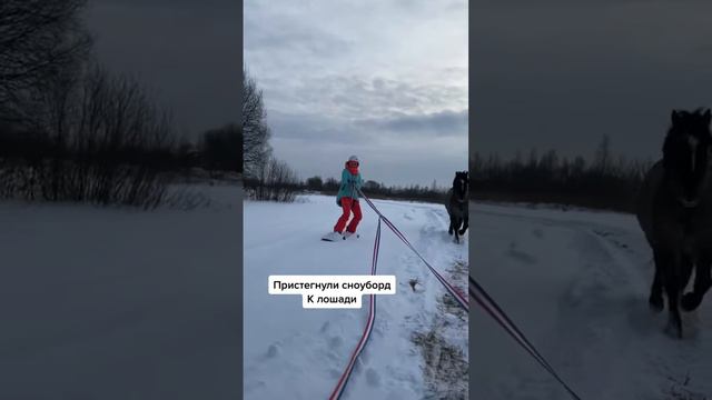 Пристегнули сноуборд к лошади #shorts