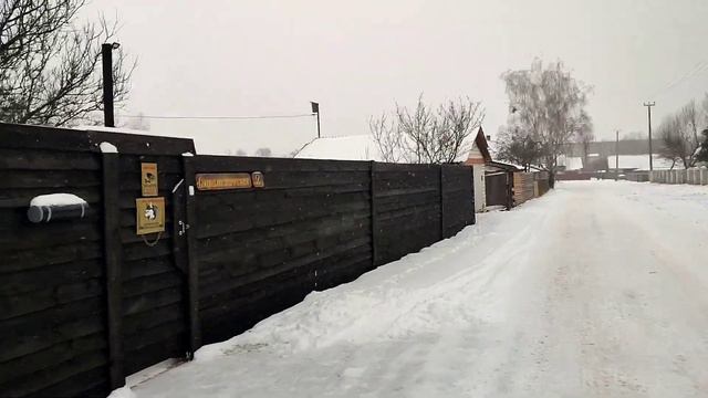 25 января 2022 г. смотреть онлайн