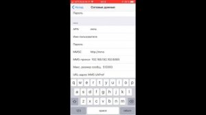 Билайн - настройка доступа в интернет (APN), MMS и режима модема для IOS устройств