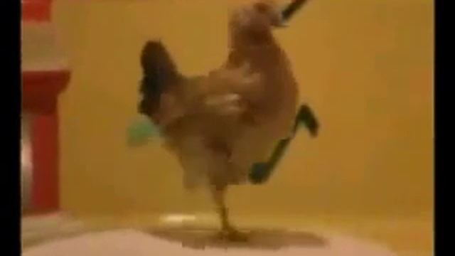Видео просто класс смотреть онлайн