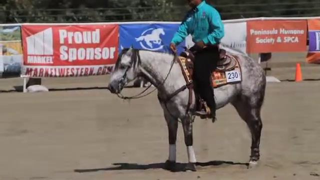 MM8 Matt Mills WEB смотреть онлайн