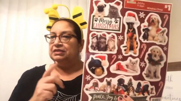 Exciting new Dollar Tree & Dollar General haul