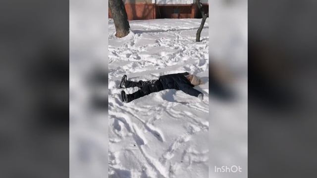 Зимний ясный день... Решили покормить птичек.. ❄️⛄🐾🕊️