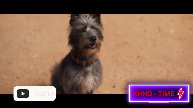 Мой любимый двортерьер Русский трейлер 2024 смотреть онлайн