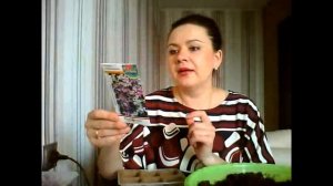 Левкой И Маттиола - посев без потерь! Уход.