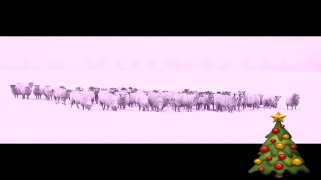 Видеомонтаж ,,Рождественская история,, смотреть онлайн