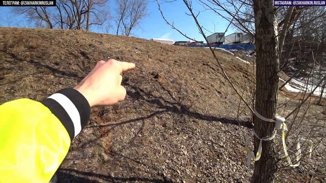 ДОЛИНА РЕКИ СЕТУНЬ В МОЖАЙСКОМ РАЙОНЕ МОСКВЫ – ПУТЬ ОТ ГЖАТСКОЙ ДО МЕТРО ДАВЫДКОВО. ЛЕСТНИЦА В НЕБО смотреть онлайн