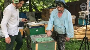 Старая матка помощница