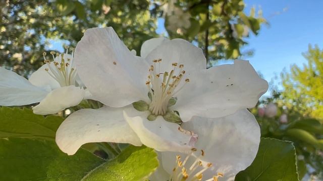 Самый лучший Знак Зодиака по мнению астрологов. смотреть онлайн