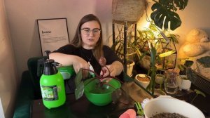 LECHUZA-PON! Что это такое? Мой первый опыт и результат пересадки монстеры и филодендрона.